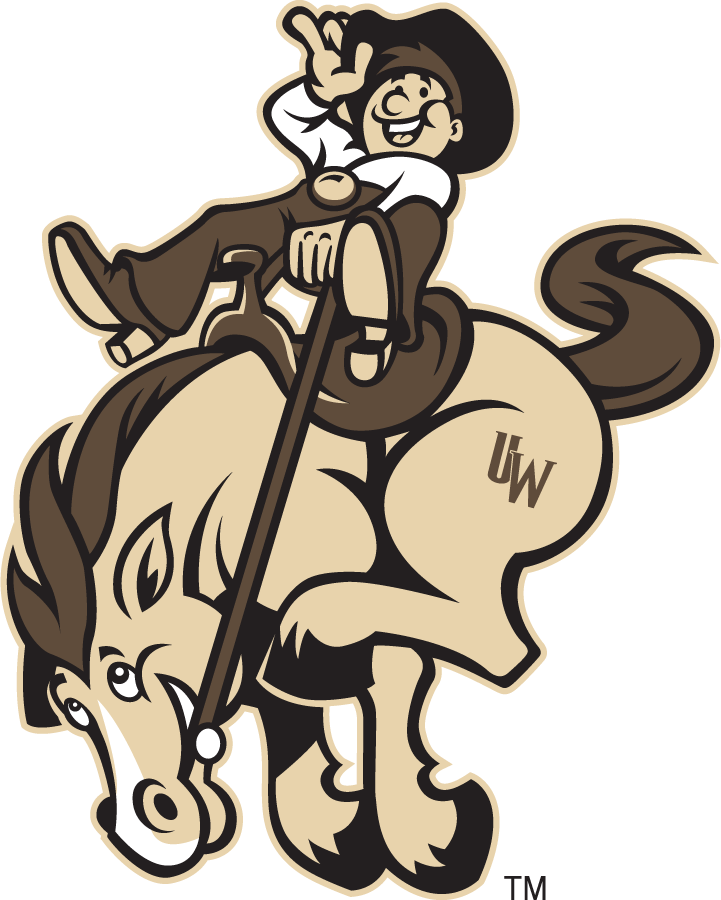 Wyoming Cowboys 2000-2007 Misc Logo diy iron on heat transfer